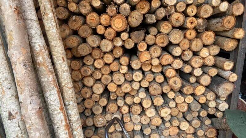 Cừ bạch đàn sỉ - lẻ trên toàn quốc