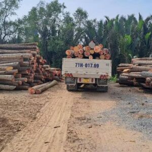 Cừ Dừa